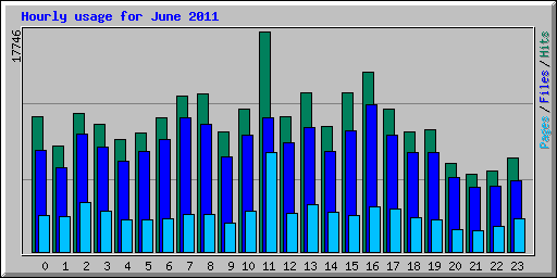 Hourly usage for June 2011