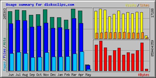 Usage summary for dicksclips.com